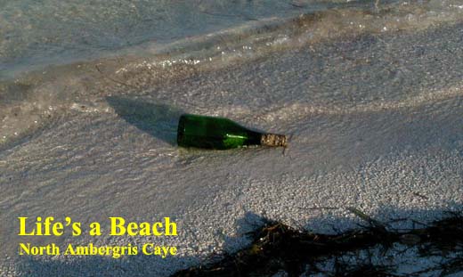 Life's a Beach