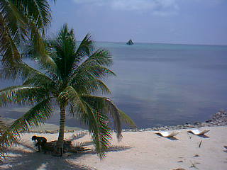 Beach at north Ambergris Caye