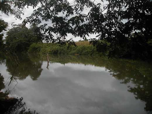On the Moho River