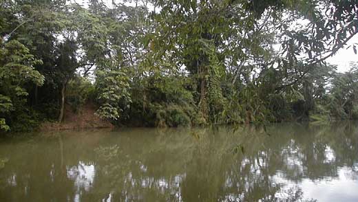 The Moho River