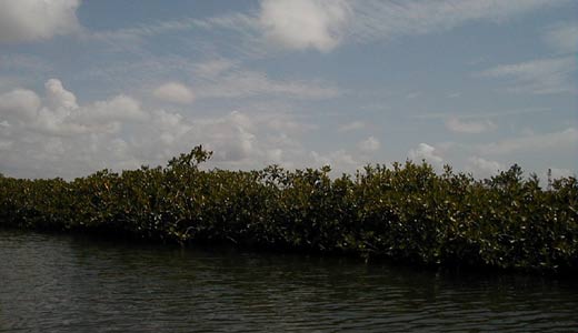 San Ignacio, Cayo, Belize