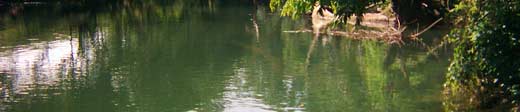 The Temash River lies very remote in the Toledo District of Belize. Besides Crique Sarco there are no other settlements along the river. 