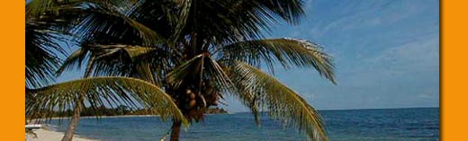 PlacenciaBelize.com - The Internet Gateway to Placencia, Belize, Launching in 2006